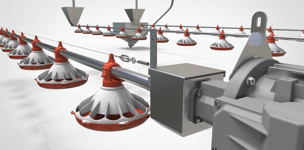 Điện mặt trời vận hành hệ thống cho ăn tự động trong chăn nuôi hiện đại 17 Điện mặt trời vận hành hệ thống cho ăn tự động trong chăn nuôi hiện đại