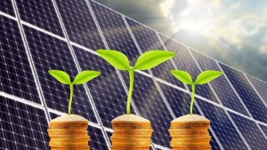 Thời gian hoàn vốn khi đầu tư điện mặt trời cho trang trại chăn nuôi