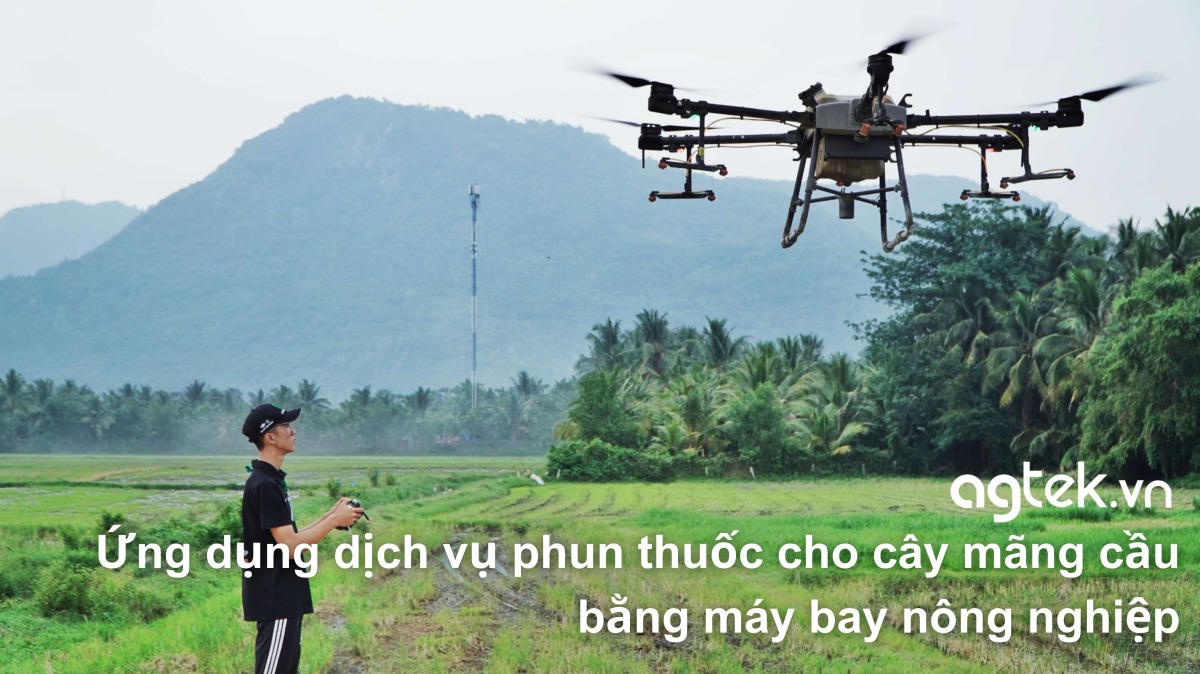 Ứng dụng dịch vụ phun thuốc cho cây mãng cầu bằng máy bay nông nghiệp