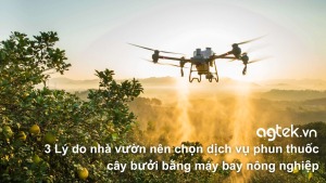 dịch vụ phun thuốc cây bưởi bằng máy bay nông nghiệp