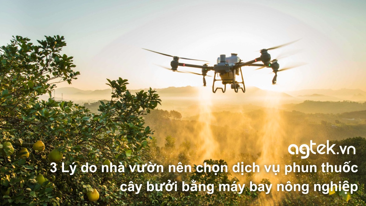 dịch vụ phun thuốc cây bưởi bằng máy bay nông nghiệp