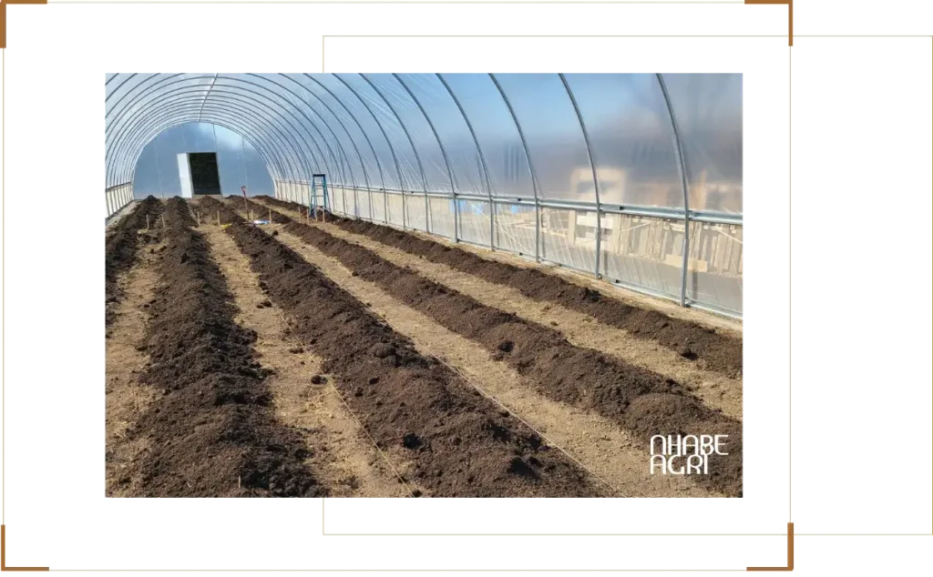 Cẩm nang cách trồng cây nhà kính nhà màng 24 Cẩm nang cách trồng cây nhà kính nhà màng