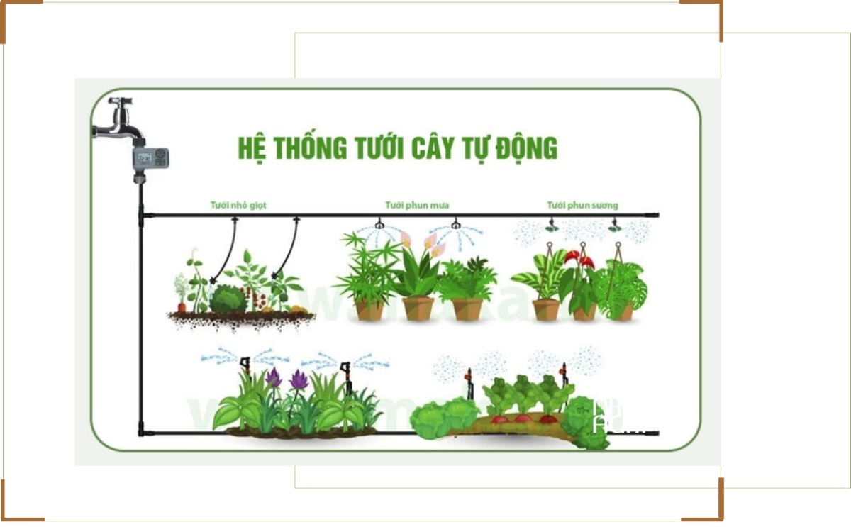 Top 3 Hệ thống tưới nhà kính tự động phổ biến nhất hiện nay