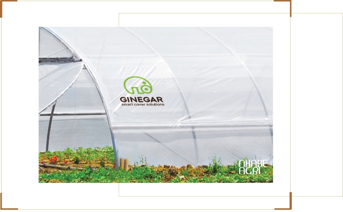Cấu tạo và độ dày tiêu chuẩn của màng nhà kính TOP 3 loại màng nhà kính phổ biến nhất – Lựa chọn phù hợp từng mô hình trồng trọt