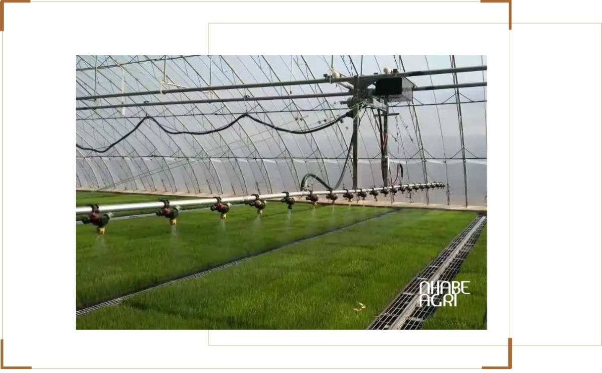 Chi phí lắp đặt hệ thống tưới nhà kính
