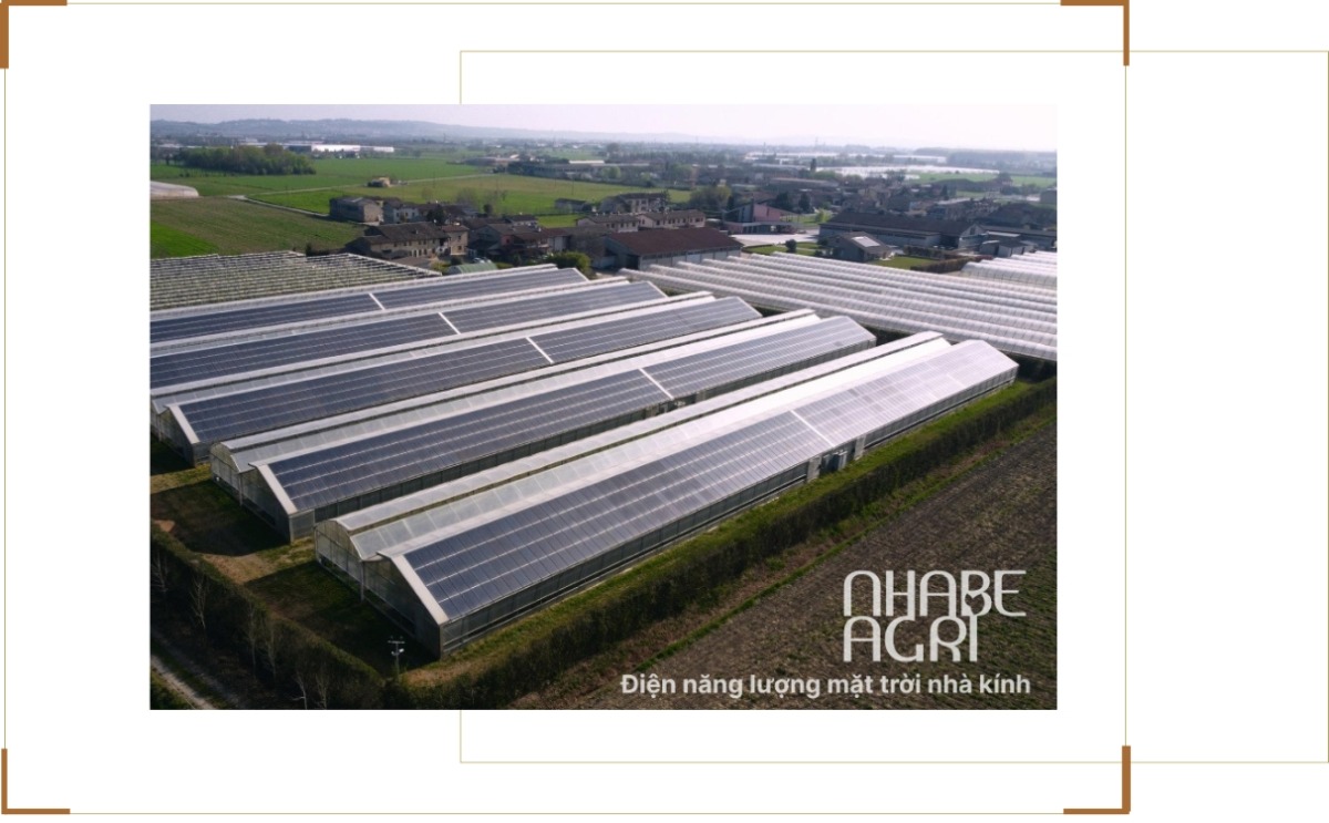 Điện năng lượng mặt trời nhà kính