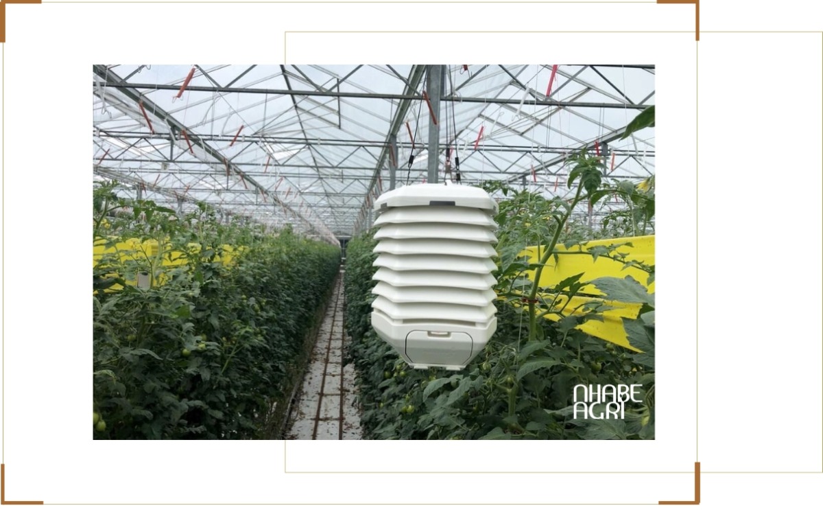 Hệ thống cảm biến trong nhà kính Hệ thống cảm biến trong nhà kính