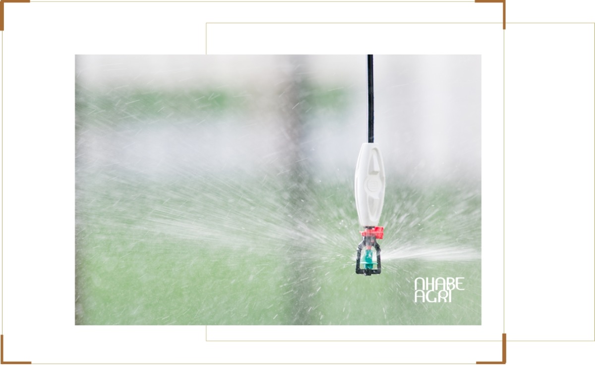 Hệ thống tưới phun mưa