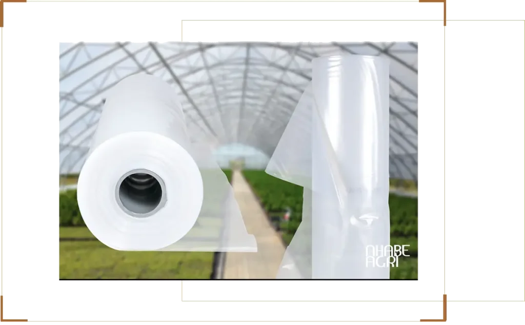 TOP 3 loại màng nhà kính phổ biến nhất – Lựa chọn phù hợp từng mô hình trồng trọt