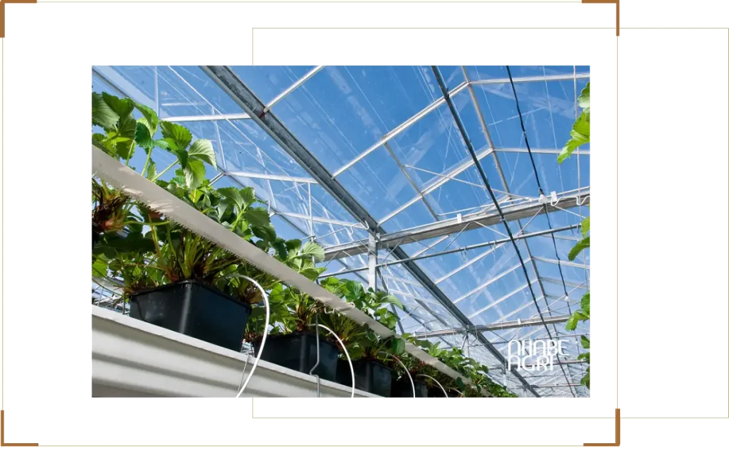 Top 3 Hệ thống tưới nhà kính tự động phổ biến nhất hiện nay 20 Top 3 Hệ thống tưới nhà kính tự động phổ biến nhất hiện nay