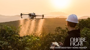 Van hanh may bay nong nghiep phun thuoc de hay kho