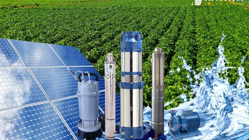 Ứng dụng bơm năng lượng mặt trời trong tưới tiêu nông nghiệp 6 bơm năng lượng mặt trời trong tưới tiêu nông nghiệp