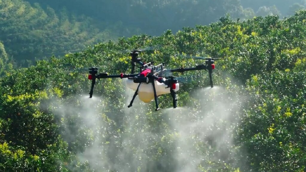 Hướng dẫn phòng trừ bệnh xì mủ trên cây sầu riêng hiệu quả 3 phong tru benh xi mu tren cay sau rieng hieu qua 1