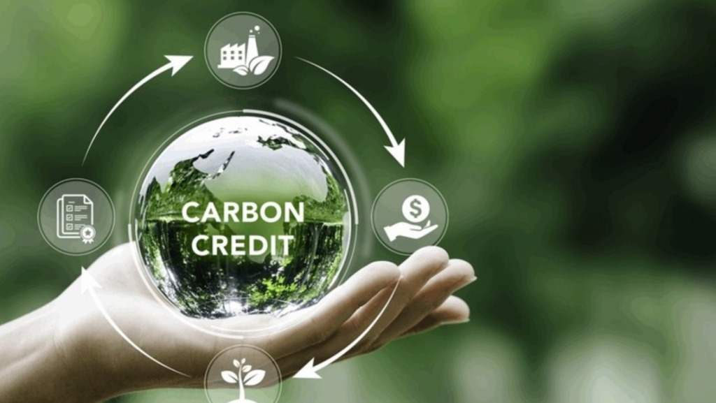 Quy trình cấp tín chỉ Carbon (Các bon) 1 quy trinh cap tin chi carbon
