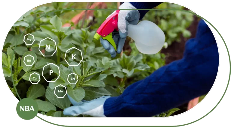 Cẩm nang về phân bón lá