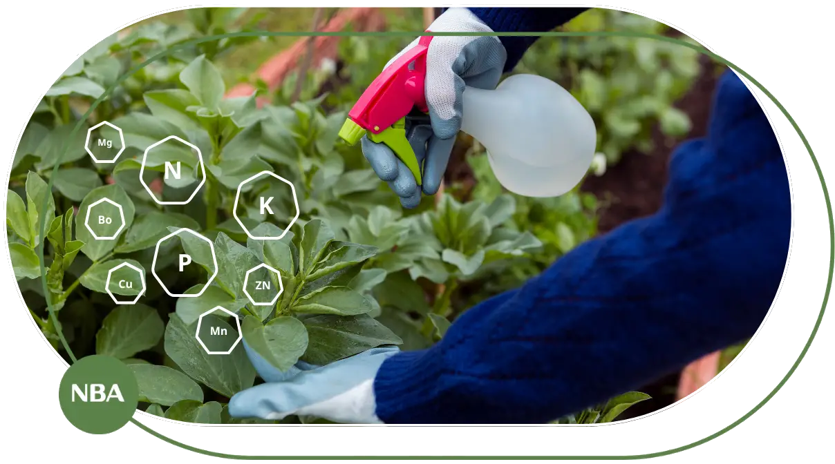 Cẩm nang về phân bón lá