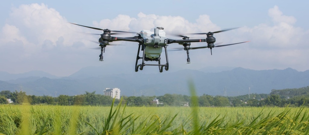 Tưới nước cho cây bí đỏ - bạn đã tưới đúng cách chưa? 20 Drone T25P, T70P, T100