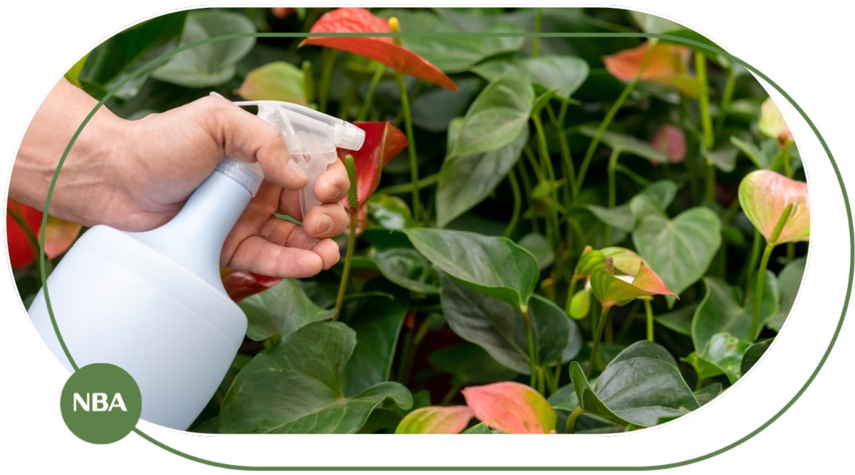 Kỹ Thuật Phun Phân Bón Lá Đạt Hiệu Quả Tối Đa