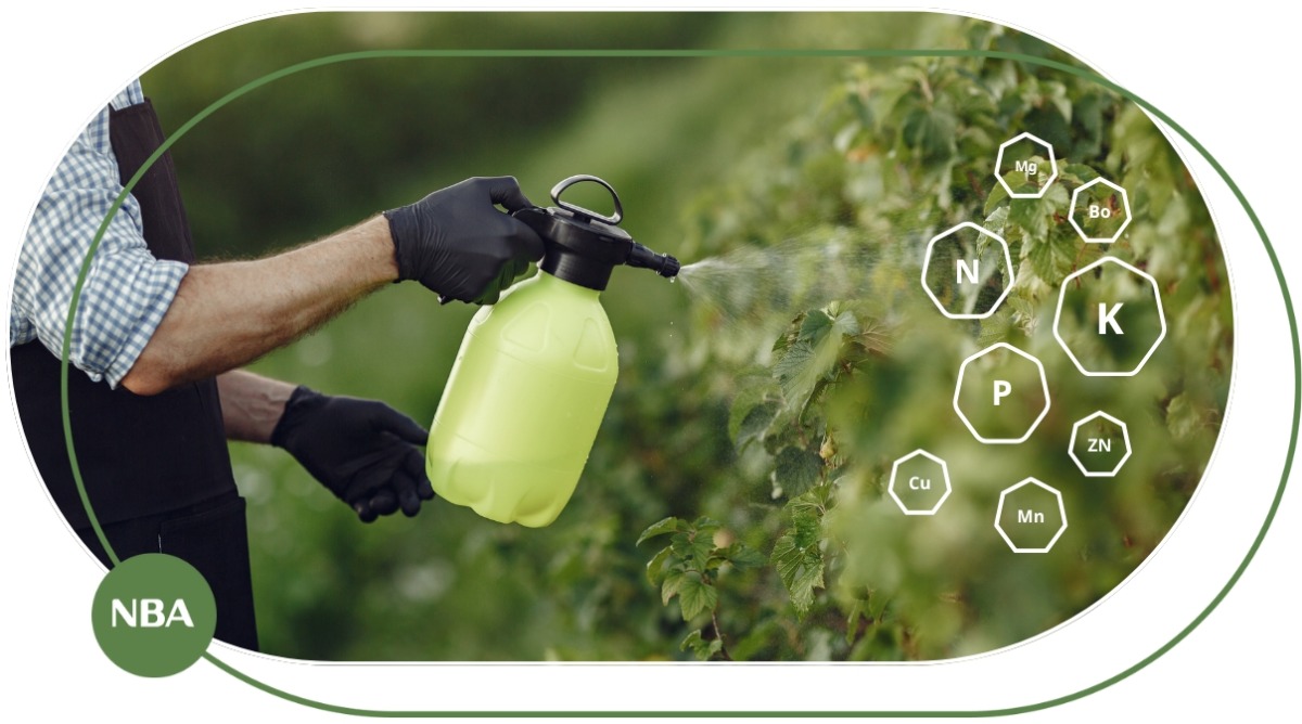 Ưu điểm khi bổ sung phân bón lá cho cây trồng