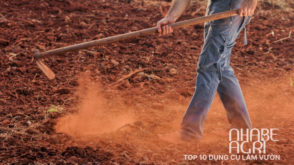 Tưới nước cho cây bí đỏ - bạn đã tưới đúng cách chưa? 17 top 10 dung cu lam vuon