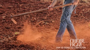 top 10 dung cu lam vuon