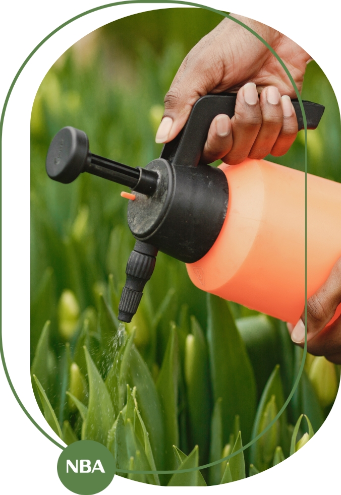 Cách sử dụng phân bón lá rong biển hiệu quả Cách sử dụng phân bón lá rong biển hiệu quả