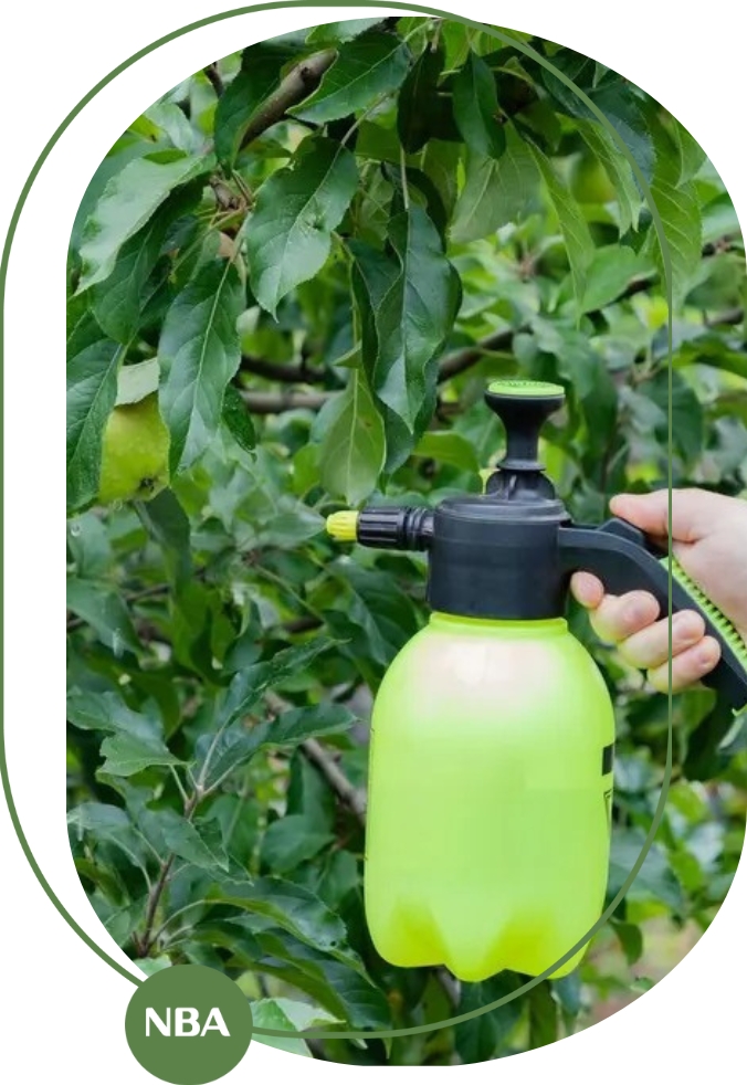 Cách sử dụng phân bón lá trung vi lượng hiệu quả (2) Cách sử dụng phân bón lá trung vi lượng hiệu quả (2)