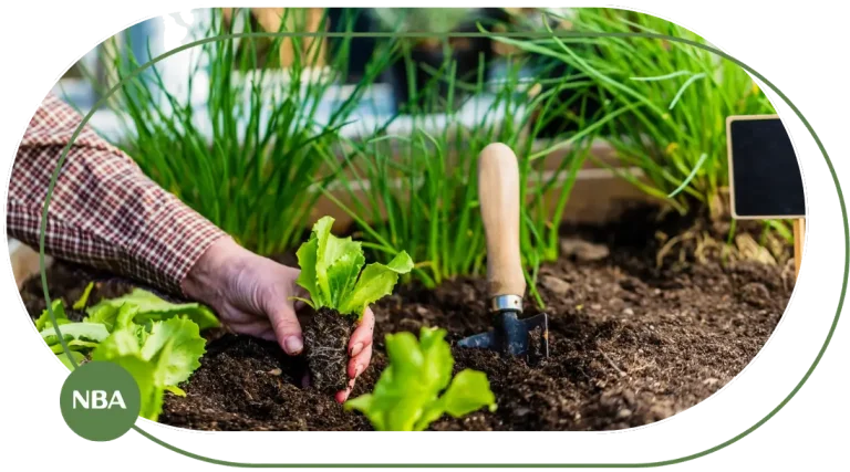 Cẩm nang về đất trồng cây (2)