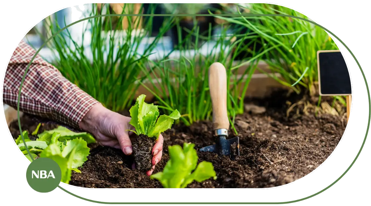 Cẩm nang về đất trồng cây (2) Cẩm nang về đất trồng cây (2)