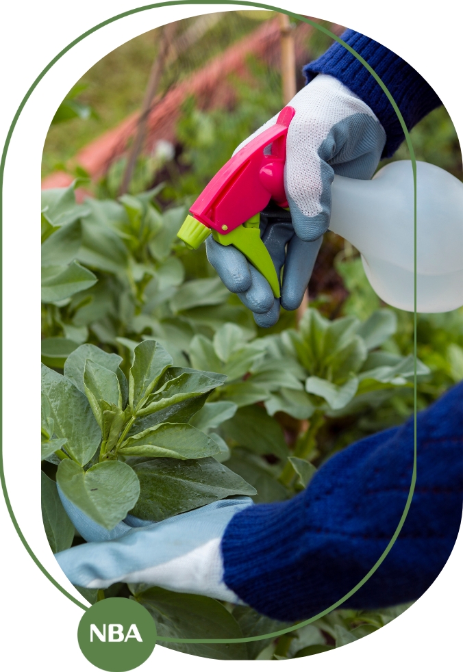 Công dụng nổi bật của phân bón lá rong biển Công dụng nổi bật của phân bón lá rong biển