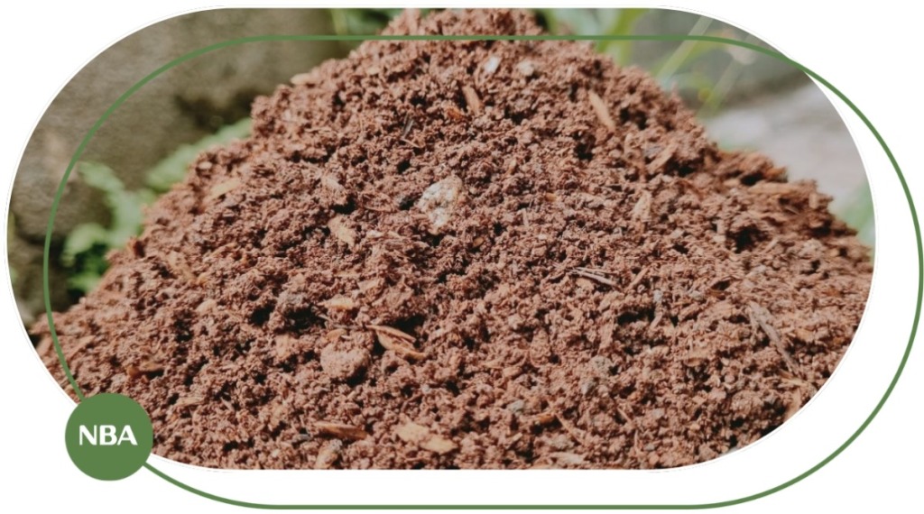 Đất Thịt Trồng Cây – Đặc Điểm, Ưu Nhược Điểm & Cách Sử Dụng Hiệu Quả