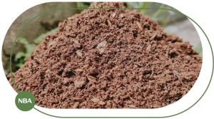 Đất Thịt Trồng Cây – Đặc Điểm, Ưu Nhược Điểm & Cách Sử Dụng Hiệu Quả