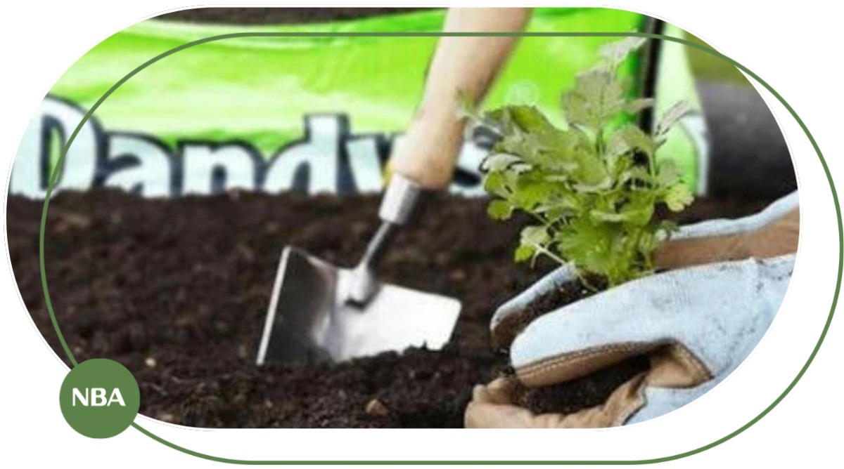 Đất sạch trồng cây Đất sạch trồng cây