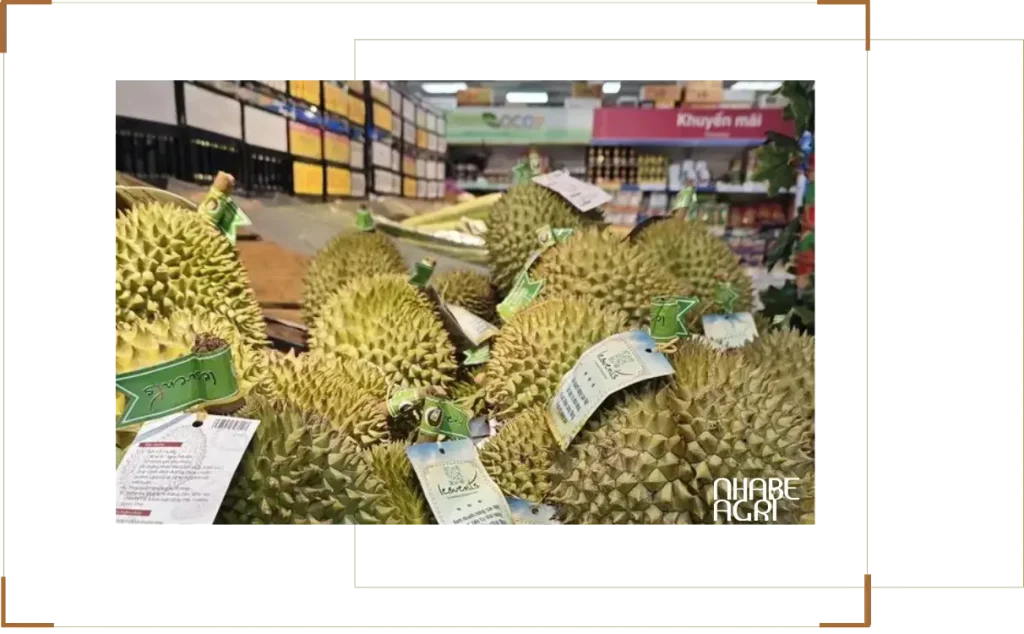 Tưới nước cho cây bí đỏ - bạn đã tưới đúng cách chưa? 4 Giá sầu riêng