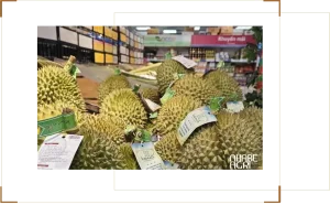 Giá sầu riêng