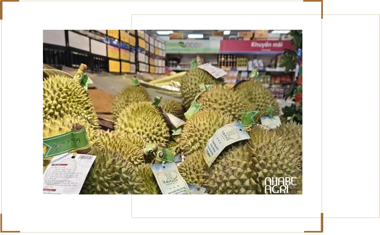 Giá sầu riêng Giá sầu riêng