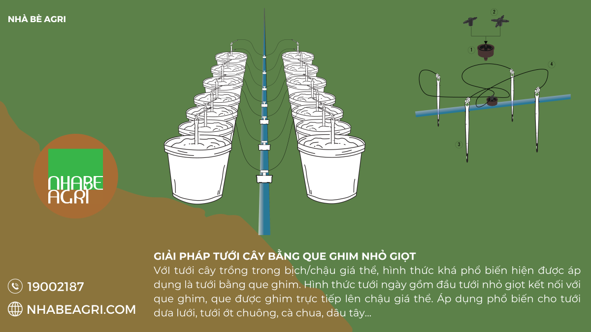 Giải pháp tưới cây bằng que ghim nhỏ giọt