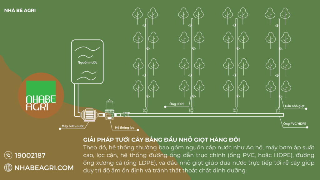 Giap phap tuoi cay bang dau nho giọ hang doi