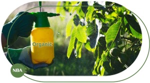 Hướng dẫn chọn đúng các loại phân bón lá hữu cơ cho từng cây trồng