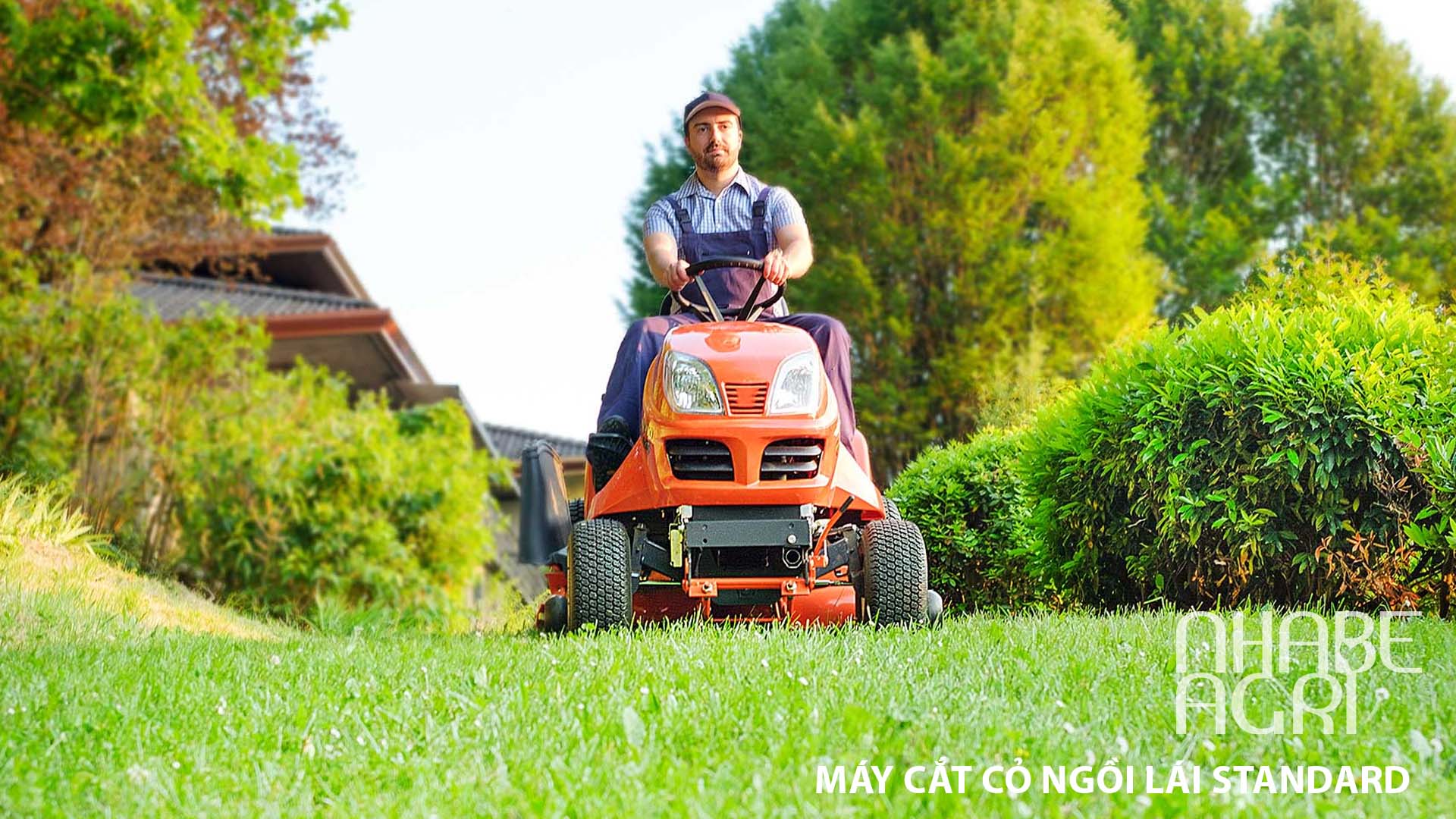Máy cắt cỏ ngồi lái Standard