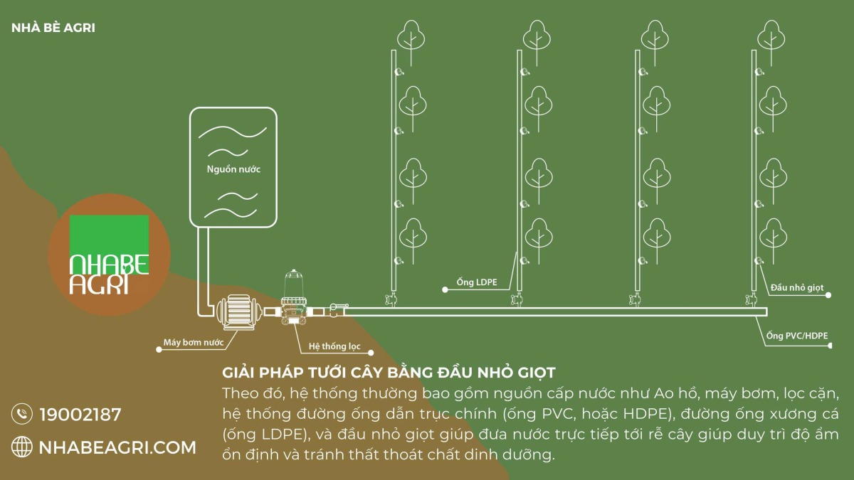 Mo hinh tuoi cay bang dau tuoi nho giot