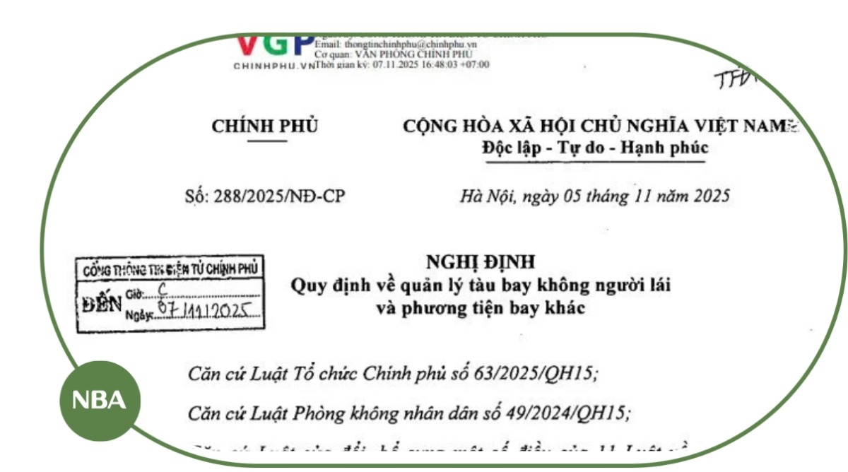 Nghị định 2882025NĐ-CP