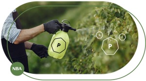 Phân Bón Lá 10-60-10 Công Dụng, Cách Dùng & Lưu Ý Cho Hiệu Quả Tối Đa