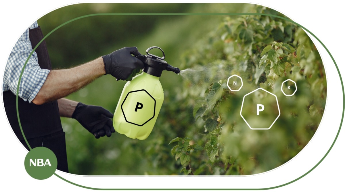 Phân Bón Lá 10-60-10 Công Dụng, Cách Dùng & Lưu Ý Cho Hiệu Quả Tối Đa