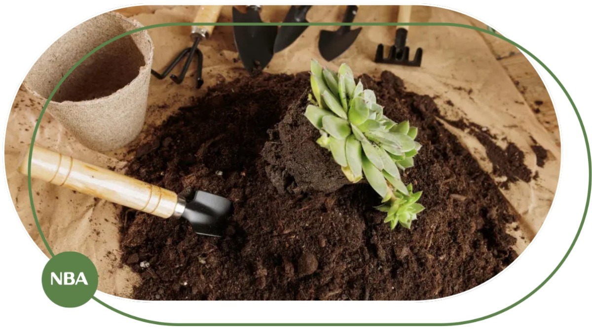 cách lựa chọn đất trồng rau phù hợp với mục đích cách lựa chọn đất trồng rau phù hợp với mục đích