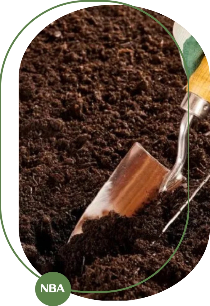 cải tạo đất trồng cây kém chất lượng cải tạo đất trồng cây kém chất lượng