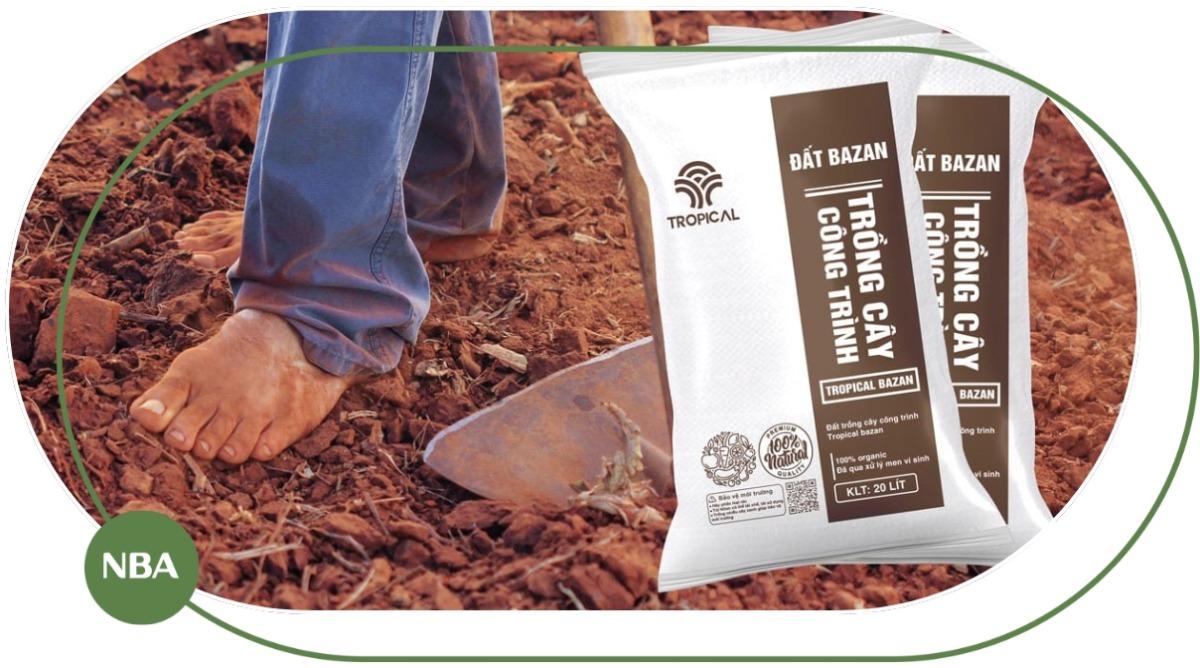 đất thịt trồng cây đất thịt trồng cây