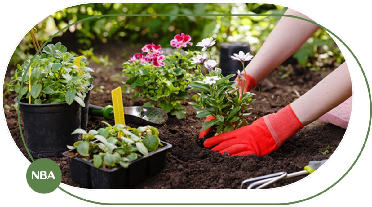 đất trồng cây cảnh đất trồng cây cảnh