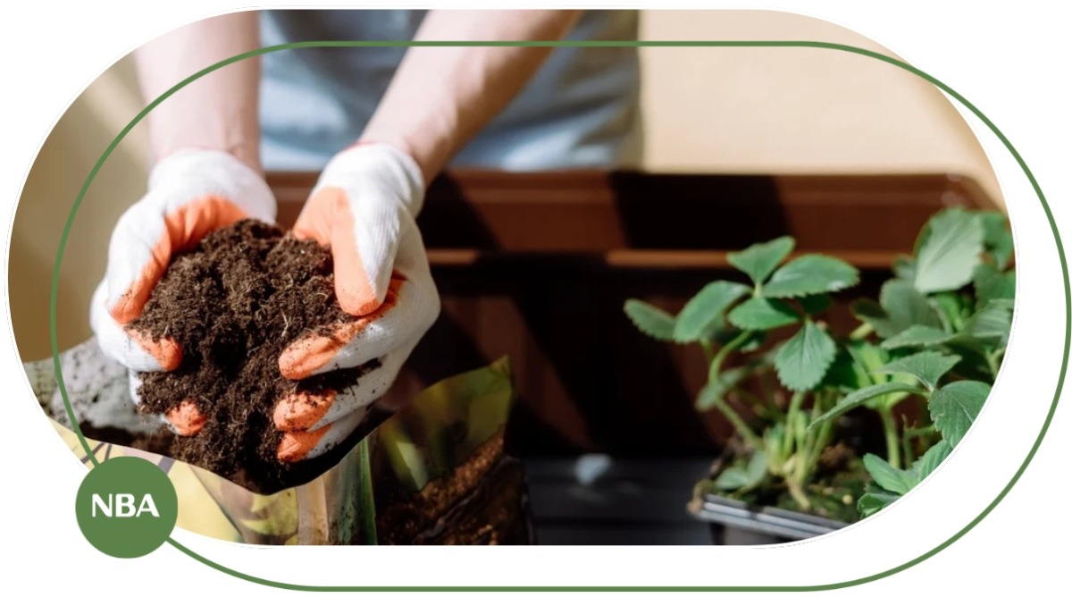 đất trồng rau đất trồng rau