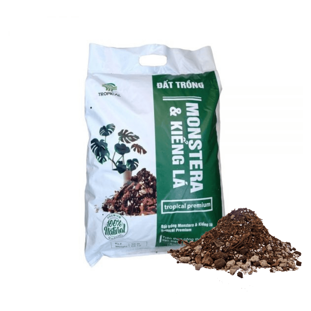 Cẩm nang về Đất trồng cây